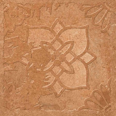 Gạch điểm Ấn Độ 300x300 men Matt Porcelain ALTROZ TERRA