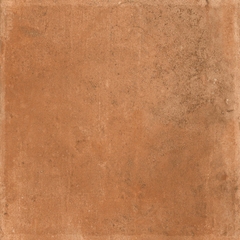 Gạch Ấn Độ 600x600 men Matt Porcelain ALTROZ TERRA