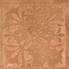 Gạch điểm Ấn Độ 300x300 men Matt Porcelain ALTROZ TERRA