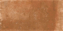 Gạch Ấn Độ 300x600 men Matt Porcelain ALTROZ TERRA