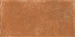Gạch Ấn Độ 300x600 men Matt Porcelain ALTROZ TERRA