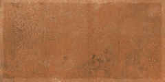 Gạch Ấn Độ 300x600 men Matt Porcelain ALTROZ TERRA