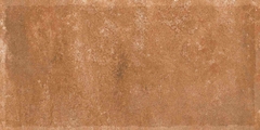 Gạch Ấn Độ 300x600 men Matt Porcelain ALTROZ TERRA