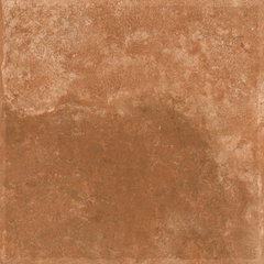 Gạch Ấn Độ 600x600 men Matt Porcelain ALTROZ TERRA