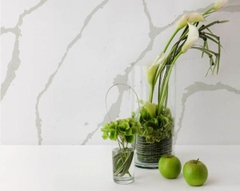 Đá Nhân Tạo Gốc Thạch Anh Vicostone | BQ8270