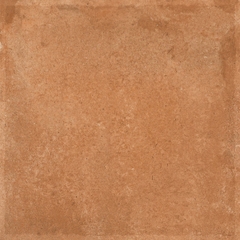 Gạch Ấn Độ 600x600 men Matt Porcelain ALTROZ TERRA