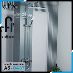 Sen cây nóng lạnh A-Five A5-0437