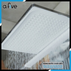 Sen cây nóng lạnh A-Five A5-0437