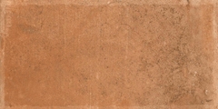 Gạch Ấn Độ 300x600 men Matt Porcelain ALTROZ TERRA