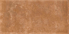 Gạch Ấn Độ 300x600 men Matt Porcelain ALTROZ TERRA