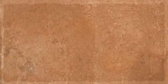 Gạch Ấn Độ 300x600 men Matt Porcelain ALTROZ TERRA