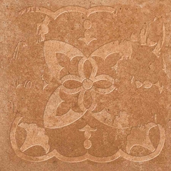 Gạch điểm Ấn Độ 300x300 men Matt Porcelain ALTROZ TERRA