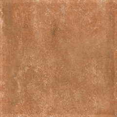 Gạch Ấn Độ 600x600 men Matt Porcelain ALTROZ TERRA