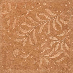 Gạch điểm Ấn Độ 300x300 men Matt Porcelain ALTROZ TERRA