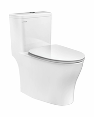 Bồn cầu liền khối Viglacera P.11.321