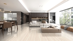 Gạch lát 800x800 men bóng Granite GP88T06J