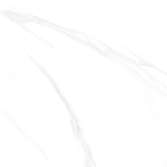 Gạch 800x800 men Bóng Porcelain TTB801