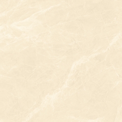 Gạch 800x800 men Bóng Porcelain TTB806A