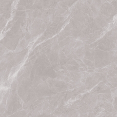 Gạch 800x800 men Bóng Porcelain TTB806B