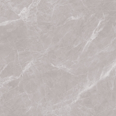 Gạch 800x800 men Bóng Porcelain TTB806B