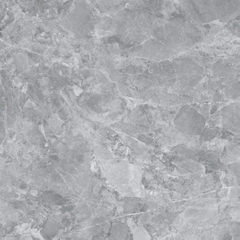 Gạch 600x600 men Bóng Porcelain TTB602C