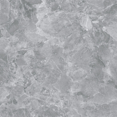 Gạch 600x600 men Bóng Porcelain TTB602C