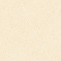 Gạch 600x600 men Bóng Porcelain TTB605A