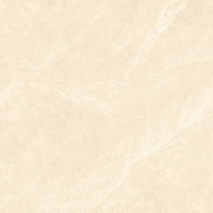 Gạch 600x600 men Bóng Porcelain TTB606A