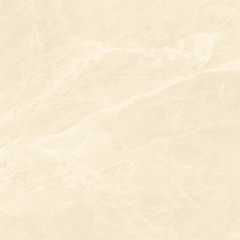 Gạch 600x600 men Bóng Porcelain TTB606A