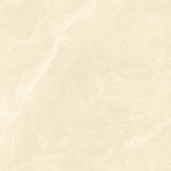 Gạch 600x600 men Bóng Porcelain TTB606A