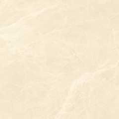 Gạch 600x600 men Bóng Porcelain TTB606A