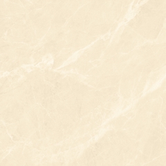 Gạch 600x600 men Bóng Porcelain TTB606A