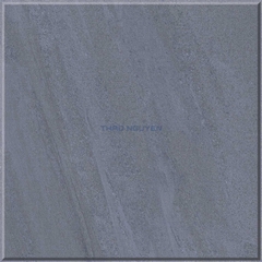 Gạch sân vườn 50x50 RedStar men Sugar Ceramic REC55.4805