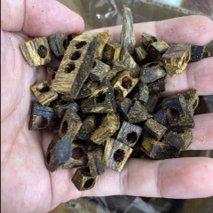 Vụn trầm Kỳ Nhiều dầu đục lỗ 10gram