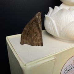 [LIMITED] MẶT TRẦM HƯƠNG TARAKAN INDONESIA – CHÌM NƯỚC – MÙI SỐNG SIÊU NGỌT – DUY NHẤT 1 MẶT #0002