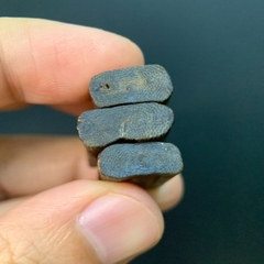 [LIVE] Mặt dây chuyền trầm hương Kỳ Hải Nam nhỏ chìm nước cao cấp 2g làm mặt dây chuyền, miếng trầm chơi cảnh, thưởng mùi 127-02