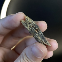 TRẦM NGUYÊN MIẾNG CHÌM NƯỚC KỲ HẢI NAM – lọ trải nghiệm 5gram trầm chìm 104-05