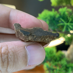 [LIMITED] MẶT TRẦM HƯƠNG TARAKAN INDONESIA – CHÌM NƯỚC – MÙI SỐNG SIÊU NGỌT – DUY NHẤT 1 MẶT #0002