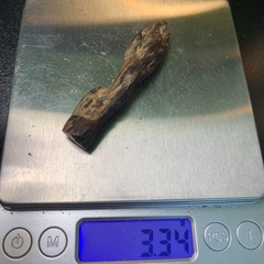 [LIMITED] Mặt trầm hương Phước Sơn chìm nước thơm sống thơm chín đều ngọt mạnh thơm sâu nặng hơn 3g - tông hàng quý hiếm #0001