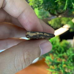 [LIMITED] Mặt trầm hương cận chìm Tarakan Indonesia thơm sống ngọt siêu mạnh bốc #0003