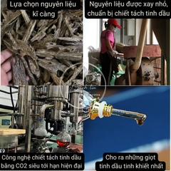 Tinh dầu trầm hương nguyên chất Bách Tín thiên nhiên liệu pháp mùi hương, hỗ trợ giấc ngủ 1-5gram
