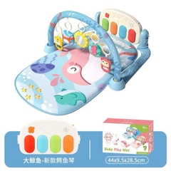 Kệ chữ A kèm thảm nhạc cao cấp