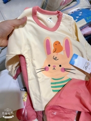 Combo 3 bộ zip lông