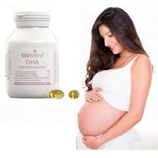 DHA bầu Bio island 60v