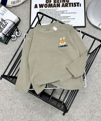 Áo giữ nhiệt Zip lông nhỡ