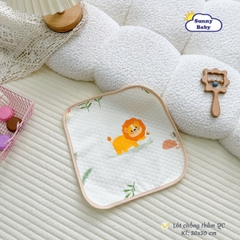 Lót chông thấm đẹp 30x30