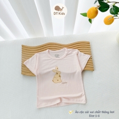 Áo cộc hãng DT