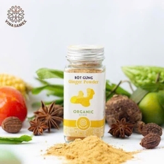 Bột gừng organic Vinasamex 40g