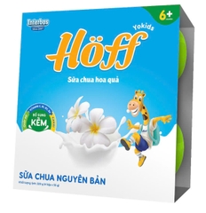 Sữa chua nguội Hoff (6m+)