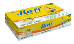 Sữa chua nguội Hoff (6m+)